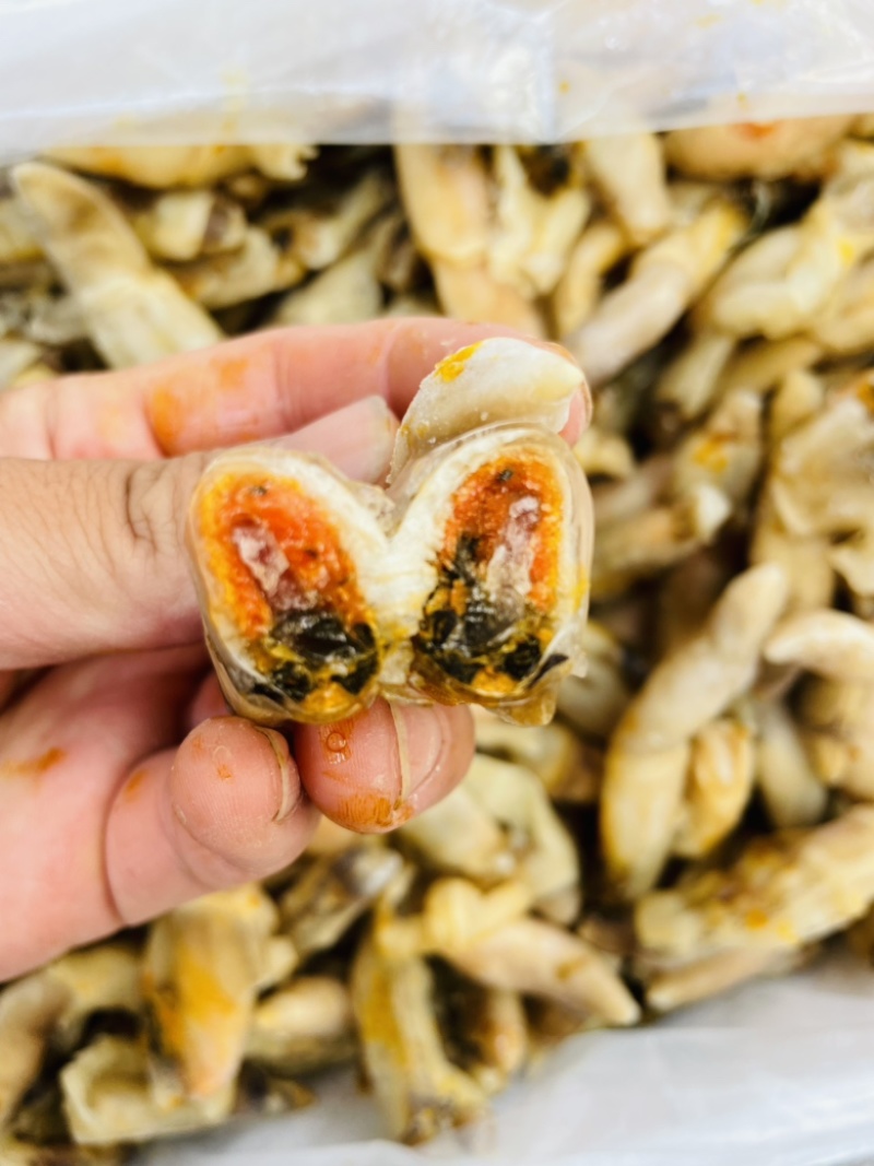 蛏王肉现剥竹蛏海鲜水产速冻麻辣熟食无沙捞汁海鲜