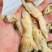 蛏王肉现剥竹蛏海鲜水产速冻麻辣熟食无沙捞汁海鲜