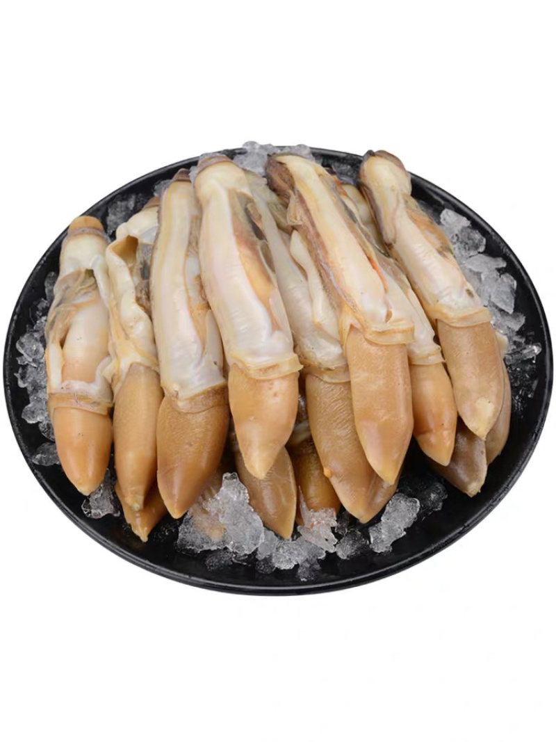 蛏王肉现剥竹蛏海鲜水产速冻麻辣熟食无沙捞汁海鲜