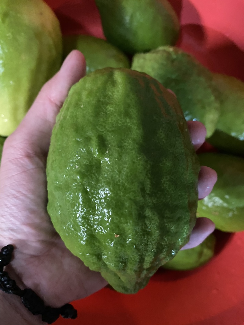 新鲜香水柠檬干片泡水柠檬茶