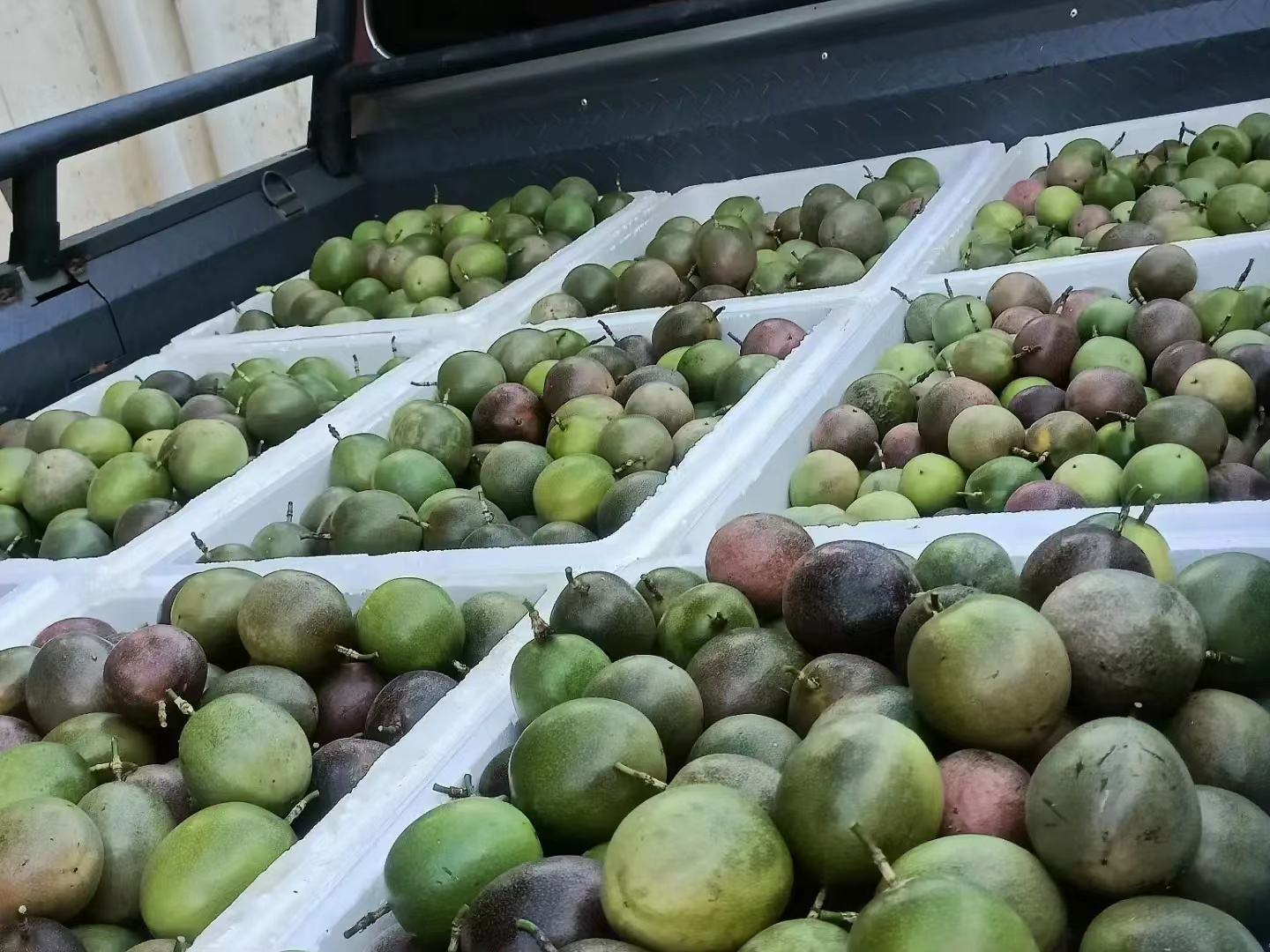 电商平台百香果页面截图