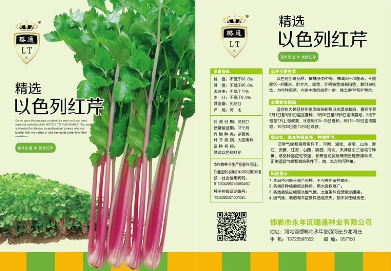 地中海根芹种子净含量10克红芹白芹种子