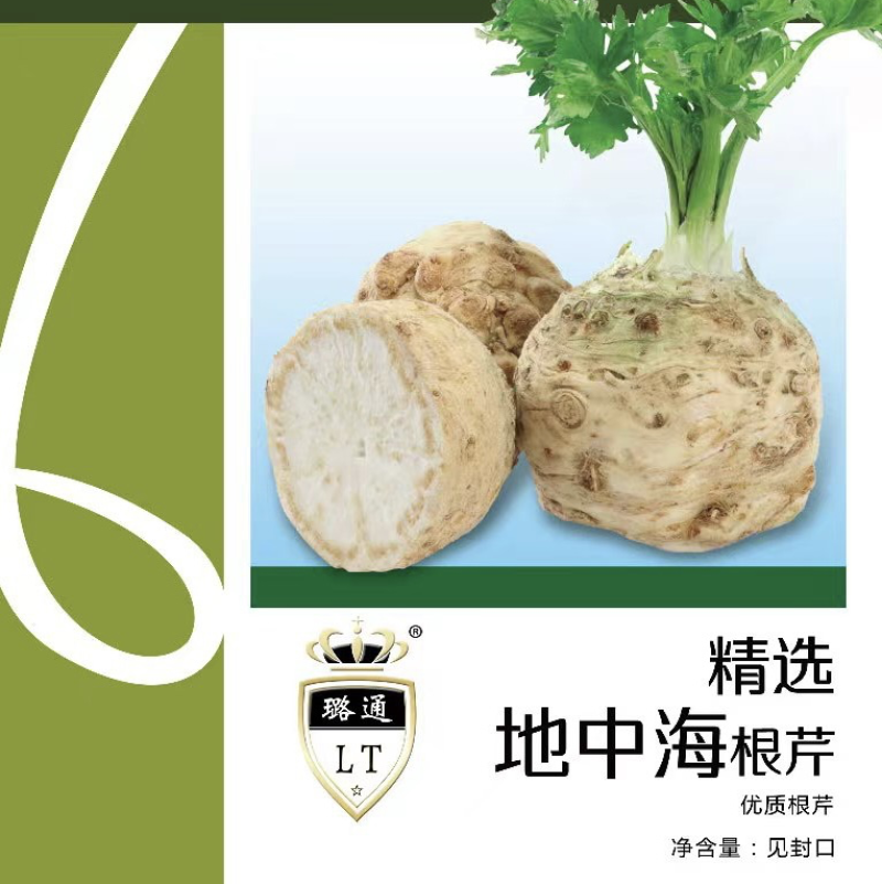 地中海根芹种子净含量10克红芹白芹种子