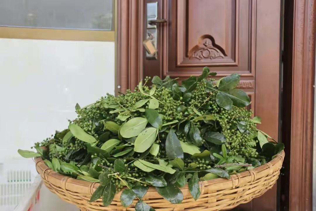 木瓜籽与其他调味料并列展示