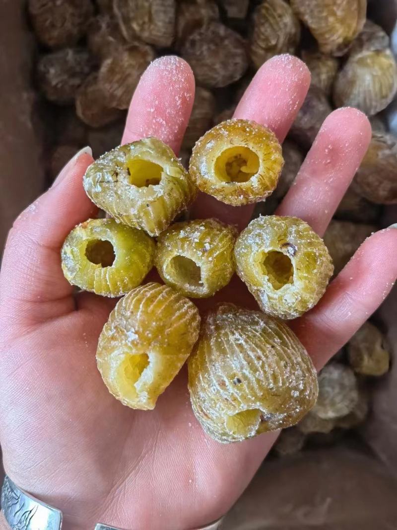 沧州蜜枣大量上市货源充足量大从优欢迎来电