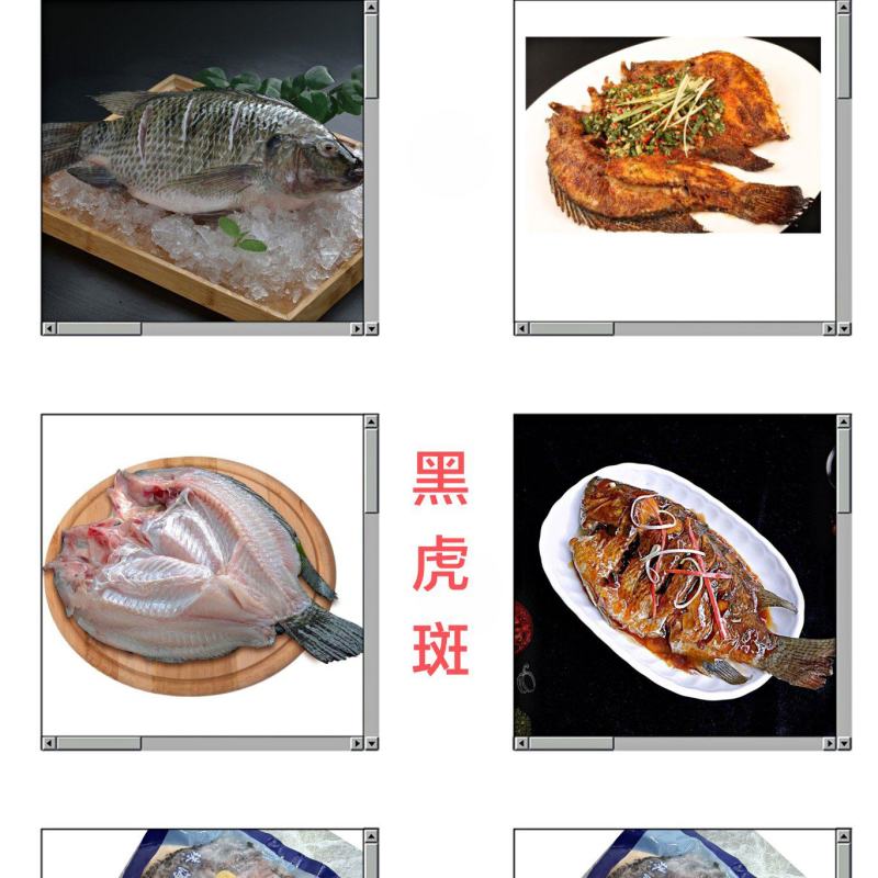 黑虎斑（黑罗非鱼）活鱼宰杀