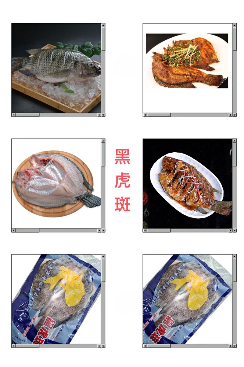 黑虎斑（黑罗非鱼）活鱼宰杀