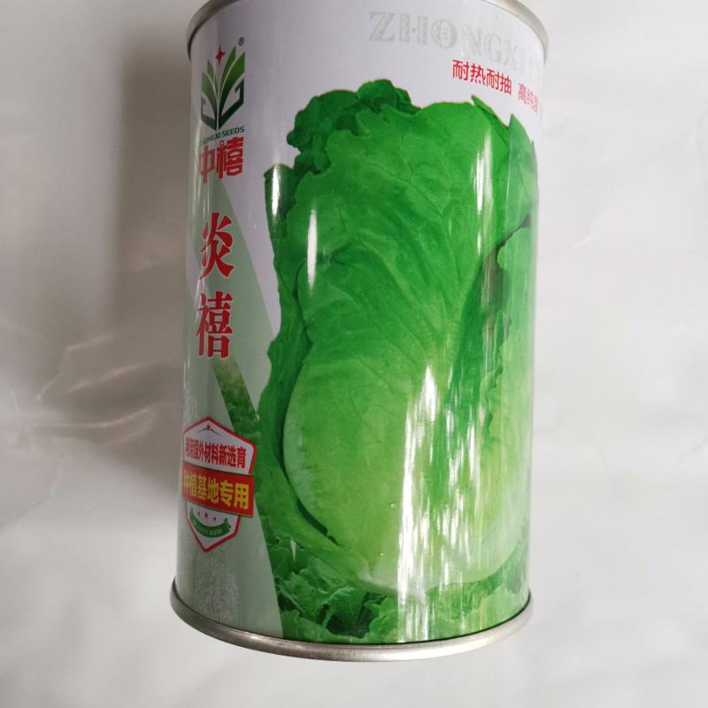 中禧炎禧生菜种子半结球生菜种子散生菜种子