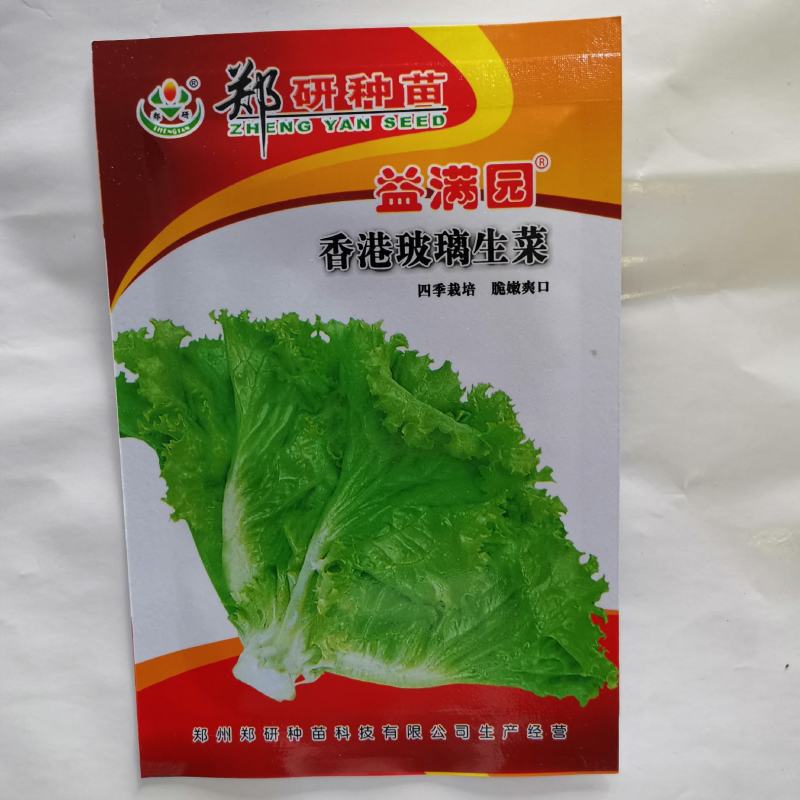 中禧炎禧生菜种子半结球生菜种子散生菜种子