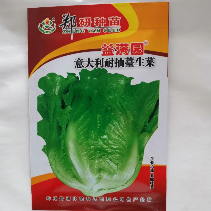 中禧炎禧生菜种子半结球生菜种子散生菜种子