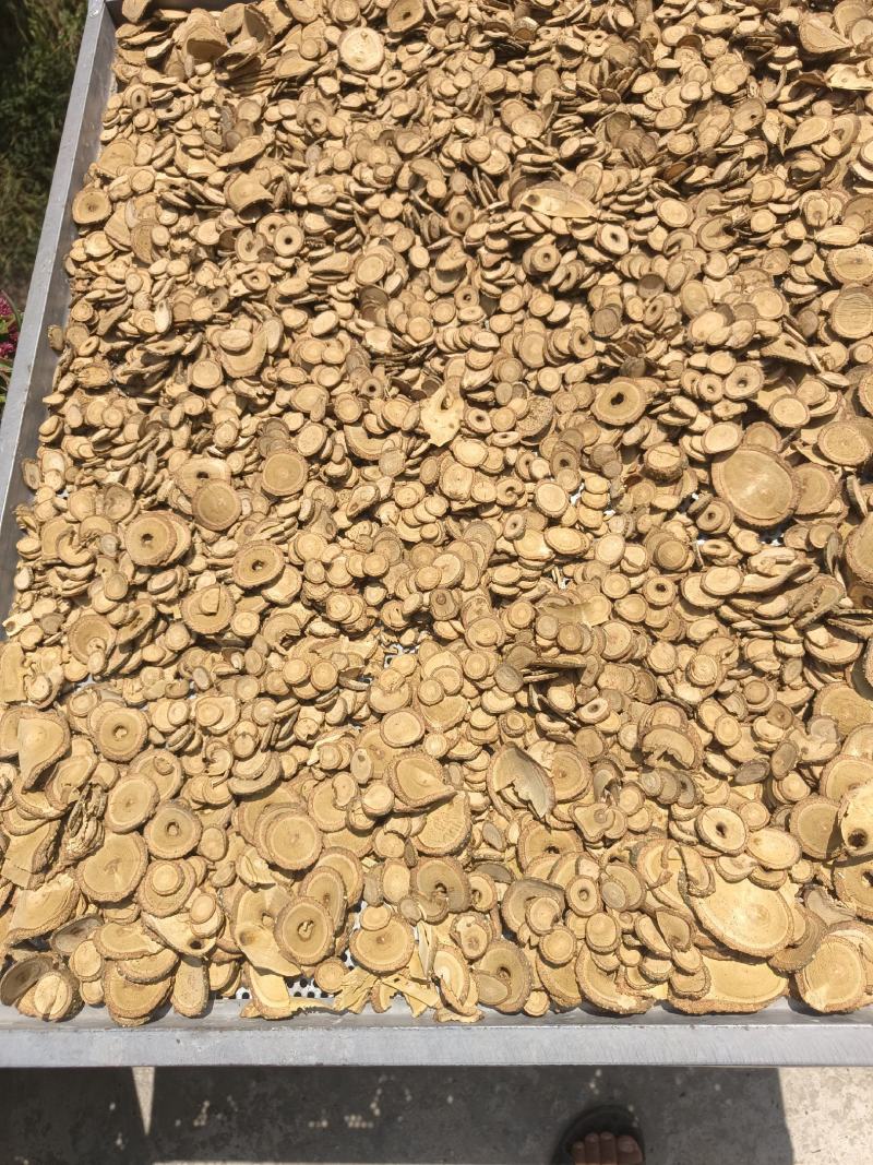 飞龙血掌藤机切圆片。