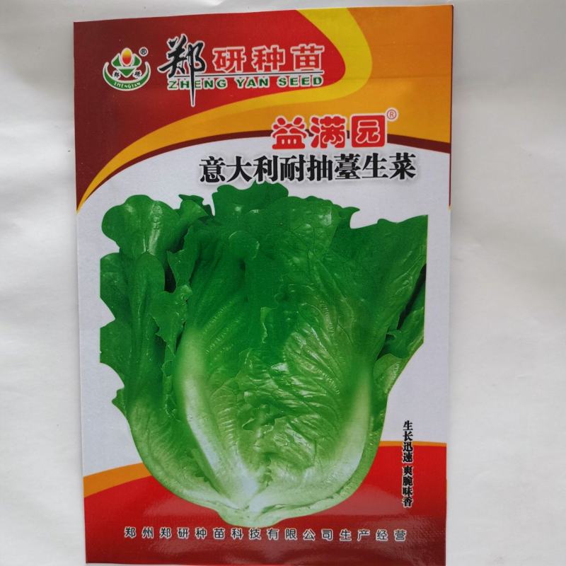 意大利耐抽苔生菜种子香港玻璃生菜种子耐热生菜种子