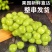 精品葡萄阳光玫瑰大量供应质量好糖度高产地现货