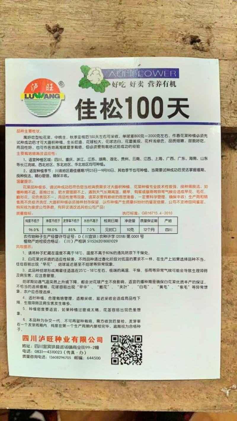 松花菜种子佳松100天中晚熟大花球洁白细腻。洲。