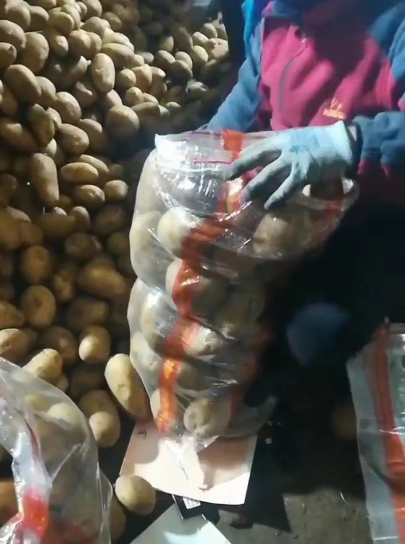 沙地土豆，精品土豆诚信经营，基地直供，质量有保障，