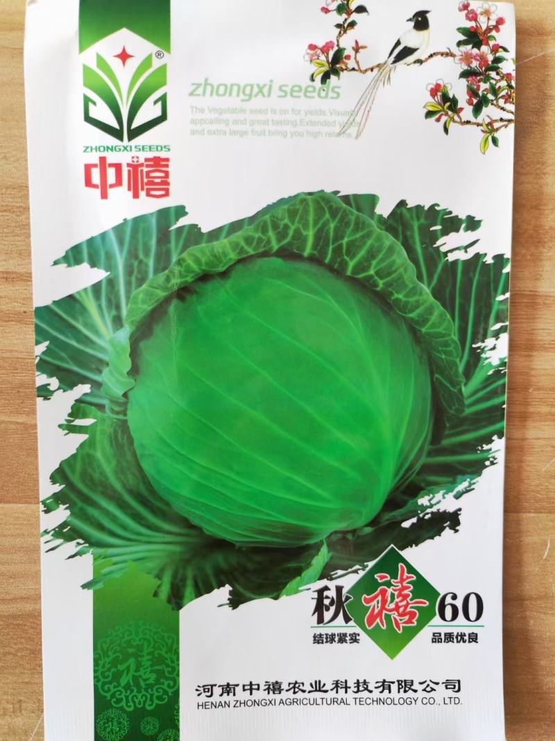 秋禧60甘蓝种子秋禧65甘蓝种子结球紧实抗病好