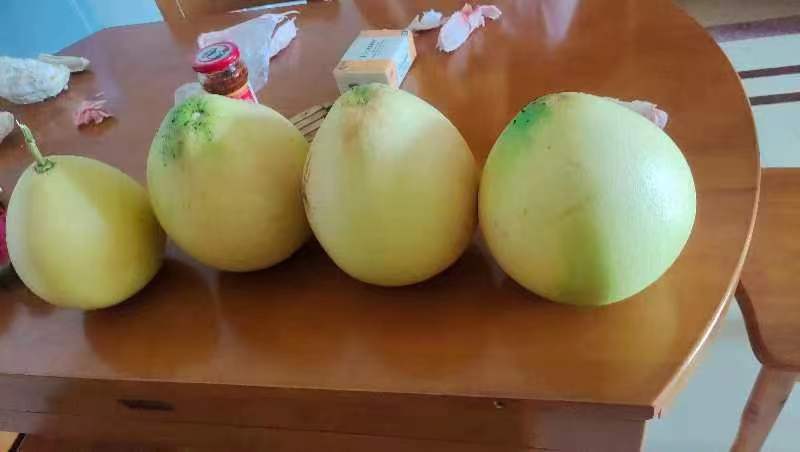 三红蜜柚摆盘图