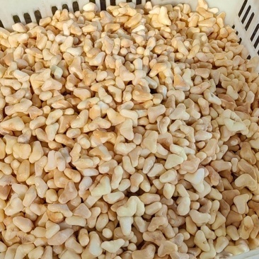 洪泽湖野生菱角米四角菱米老菱角米速冻菱角米
