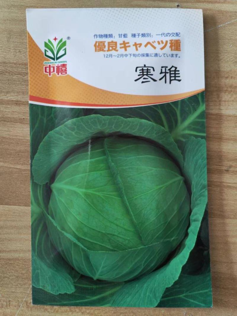 秋禧65甘蓝种子越冬甘蓝寒雅甘蓝种子耐低温性好10g