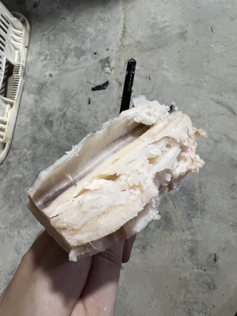 广州南沙区粉莲藕，可礼品装。价格可谈。需要联系