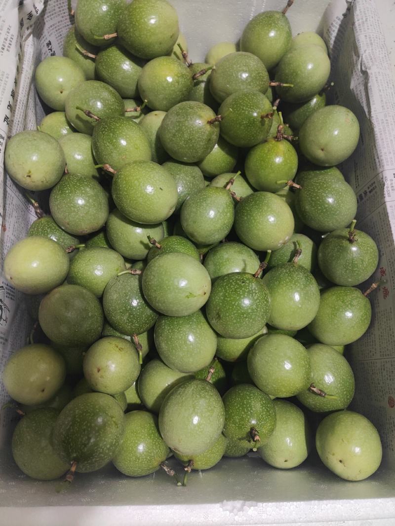 钦密9号黄金果