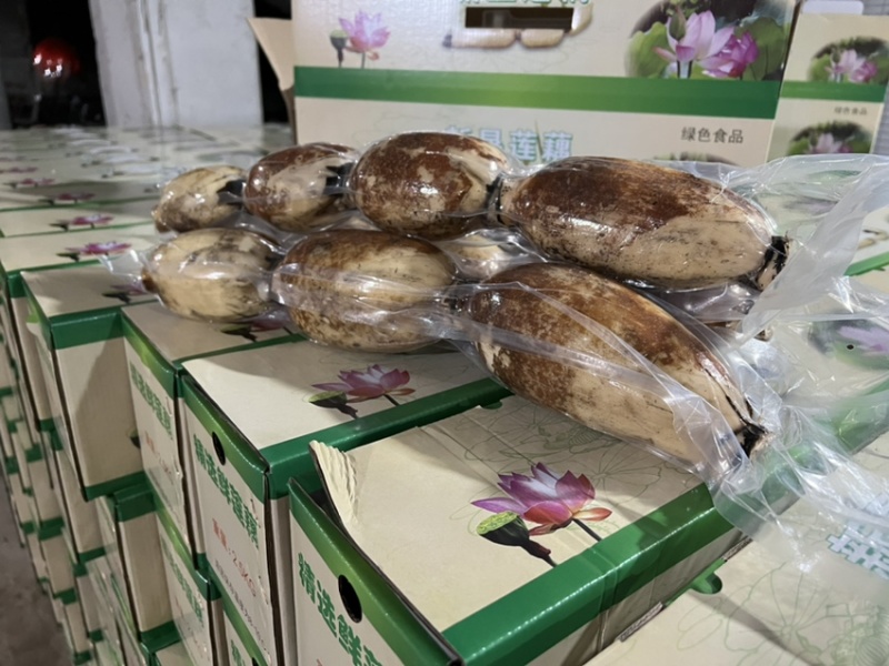 南沙区真空包装粉莲藕，可供超市社区批发市场