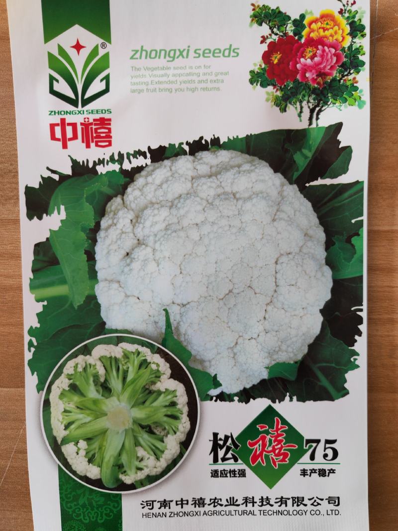 松禧65菜花种子松禧75菜花种子松禧85菜花种子