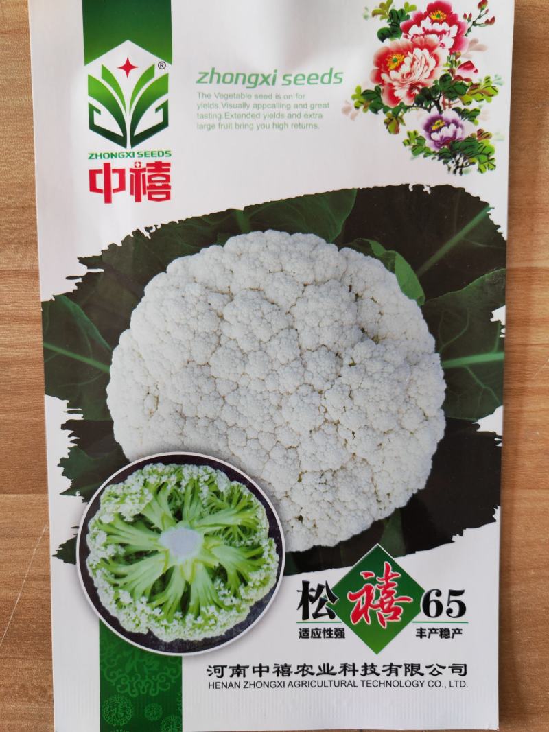 松禧65菜花种子松禧75菜花种子松禧85菜花种子