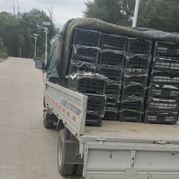 2022八月23号继续走车