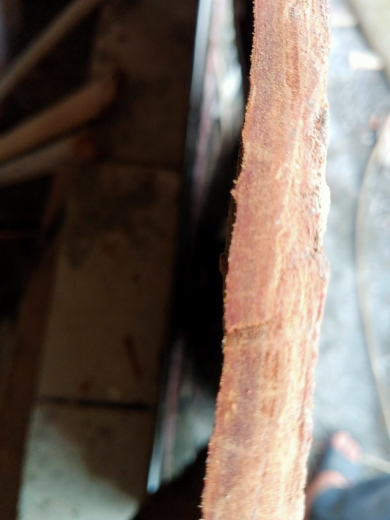 油桂，桂通