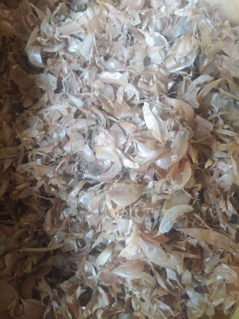 大蒜皮粉