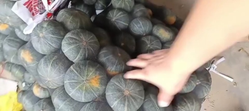 我是河北省邯郸市永年区贝贝南瓜市场，大量有货，需要联系我