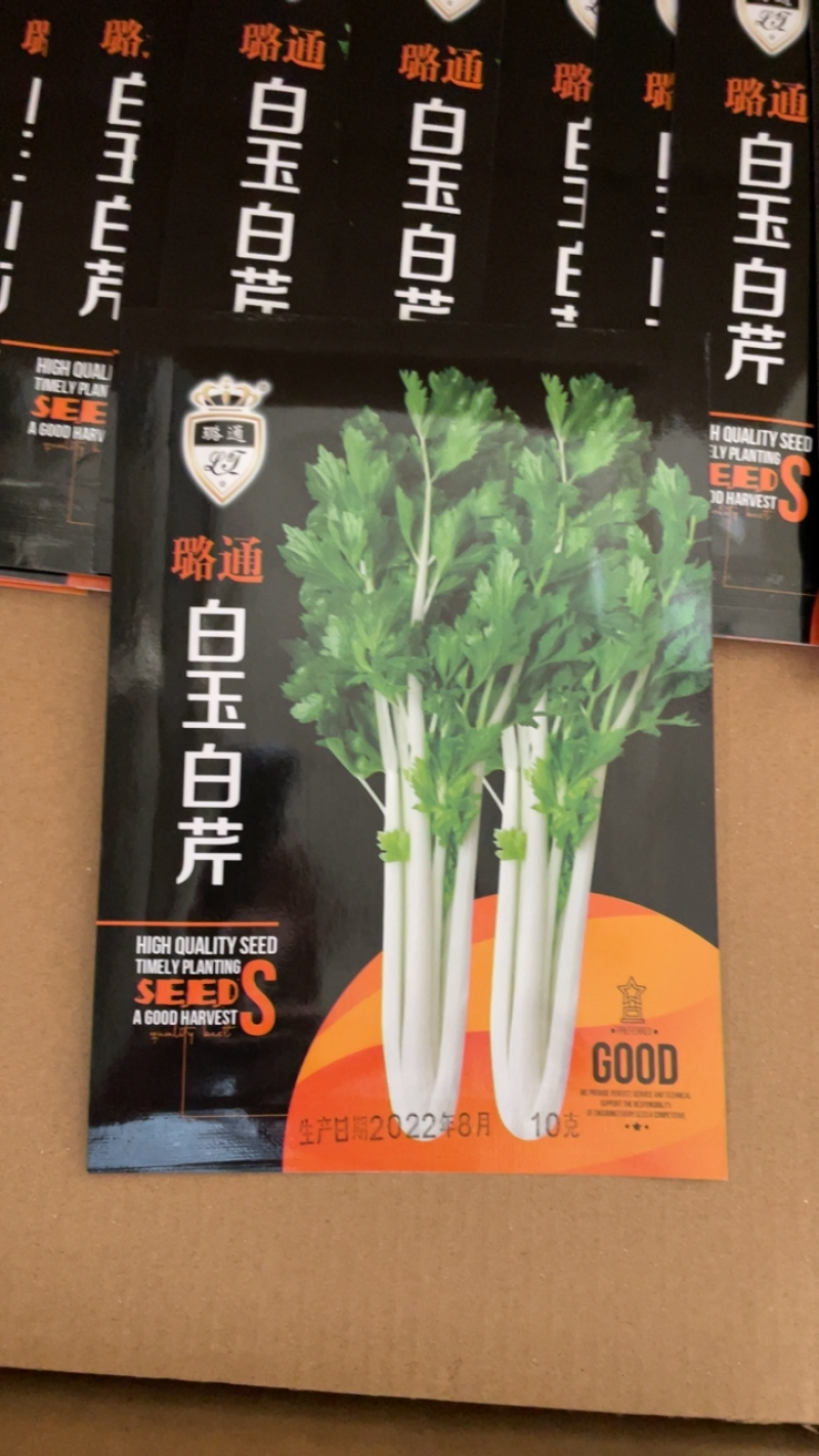 地中海根芹种子净含量10克红芹白芹种子