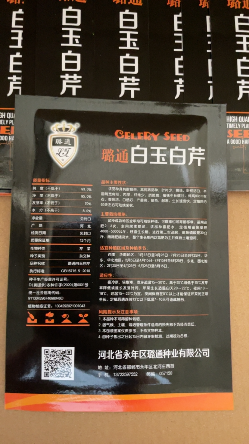 地中海根芹种子净含量10克红芹白芹种子