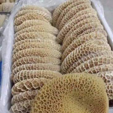 金钱肚