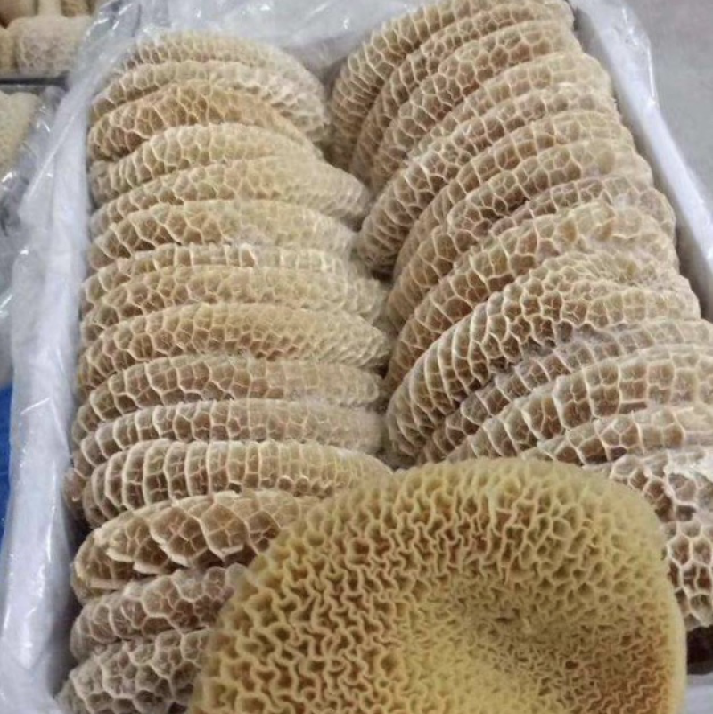 金钱肚