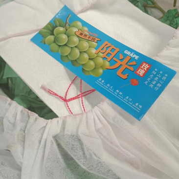 阳光玫瑰🌹