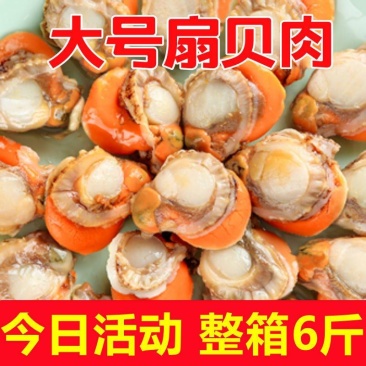 顺丰包邮特大号扇贝肉新鲜冷冻扇贝贝类海鲜瑶柱海鲜水产批