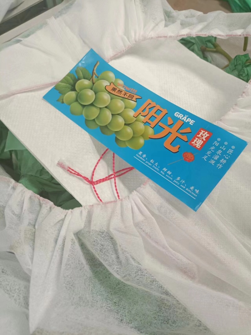 阳光玫瑰🌹