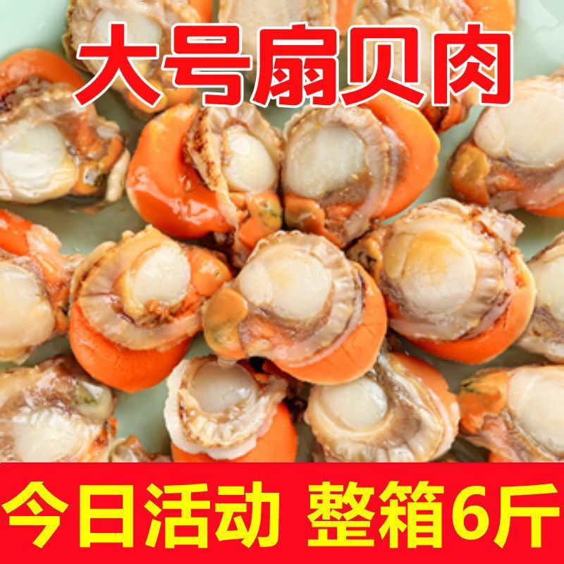 顺丰包邮特大号扇贝肉新鲜冷冻扇贝贝类海鲜瑶柱海鲜水产批