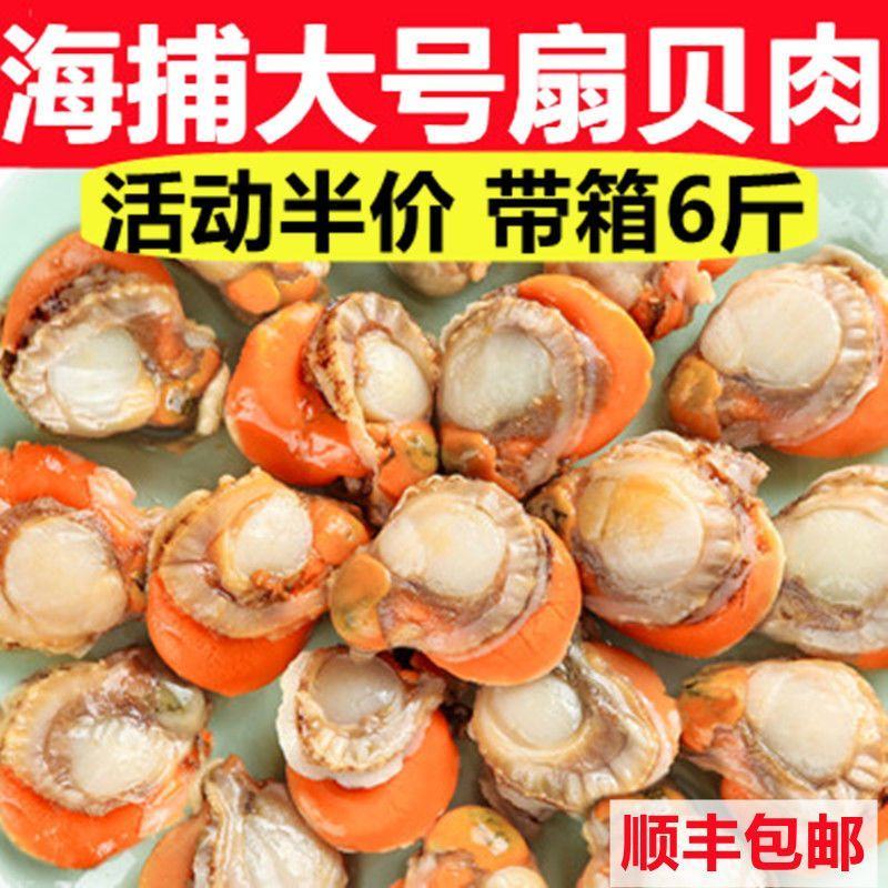 顺丰包邮特大号扇贝肉新鲜冷冻扇贝贝类海鲜瑶柱海鲜水产批