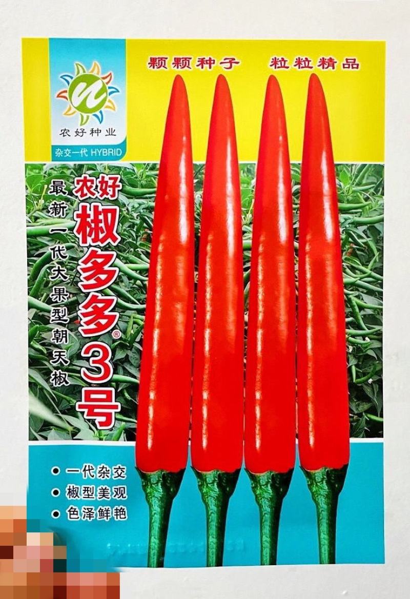 椒多多3号朝天椒种子，1000粒