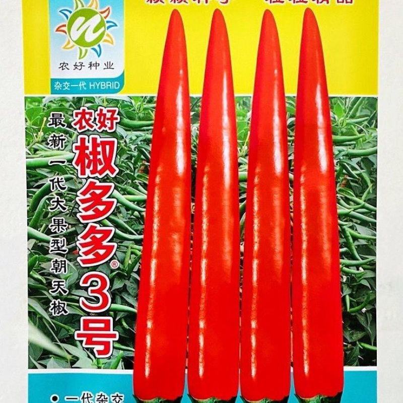 椒多多3号朝天椒种子，1000粒