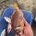 石青鱼+石青鱼+石青鱼+石青鱼+石青鱼+石青鱼+石青鱼+
