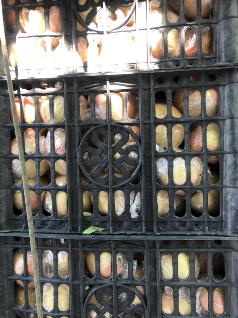 桃子价格便宜