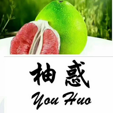 果园开园