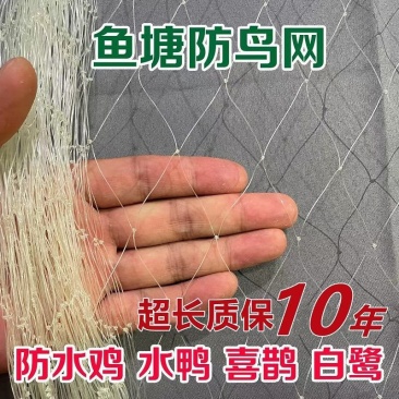 鱼塘专用防鸟网大鸟泥鳅青蛙养殖网大网眼防鸟天网池塘白鹭防