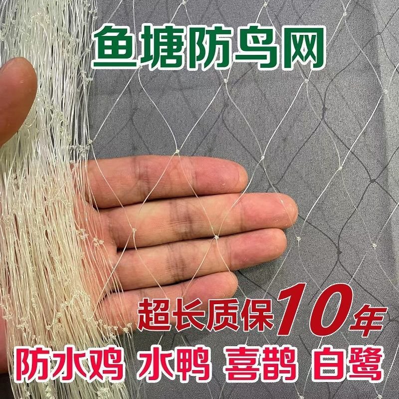鱼塘专用防鸟网大鸟泥鳅青蛙养殖网大网眼防鸟天网池塘白鹭防