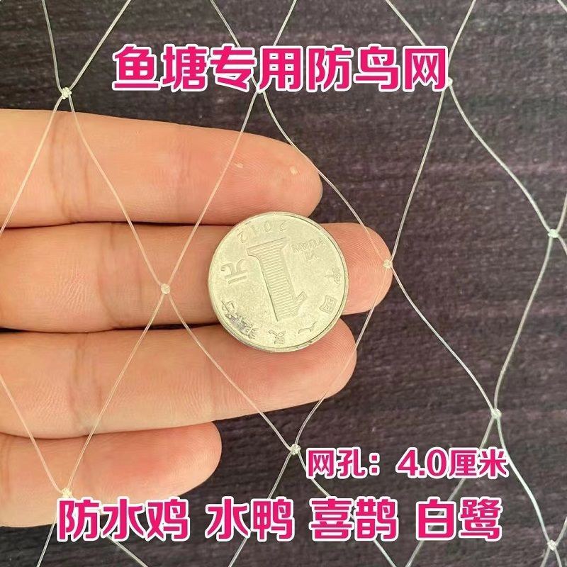 鱼塘专用防鸟网大鸟泥鳅青蛙养殖网大网眼防鸟天网池塘白鹭防