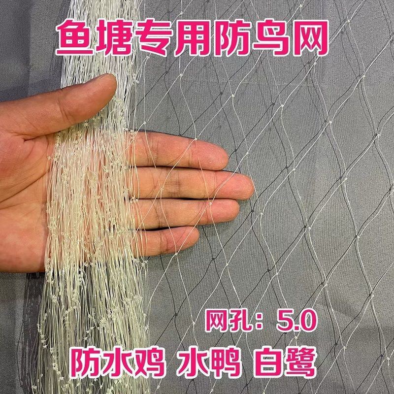 鱼塘专用防鸟网大鸟泥鳅青蛙养殖网大网眼防鸟天网池塘白鹭防
